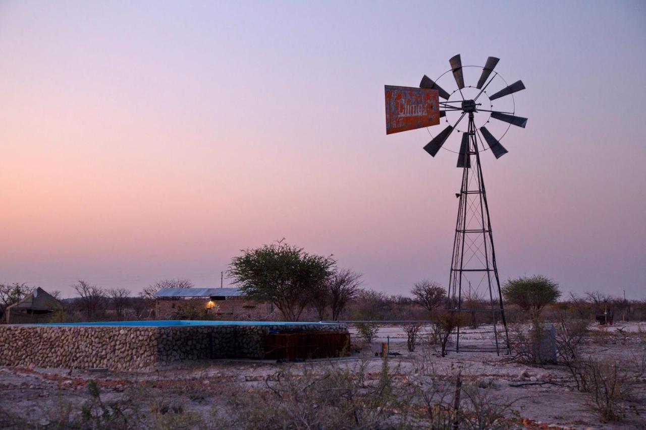 Etosha Trading Post Campsite Okaukuejo Dış mekan fotoğraf