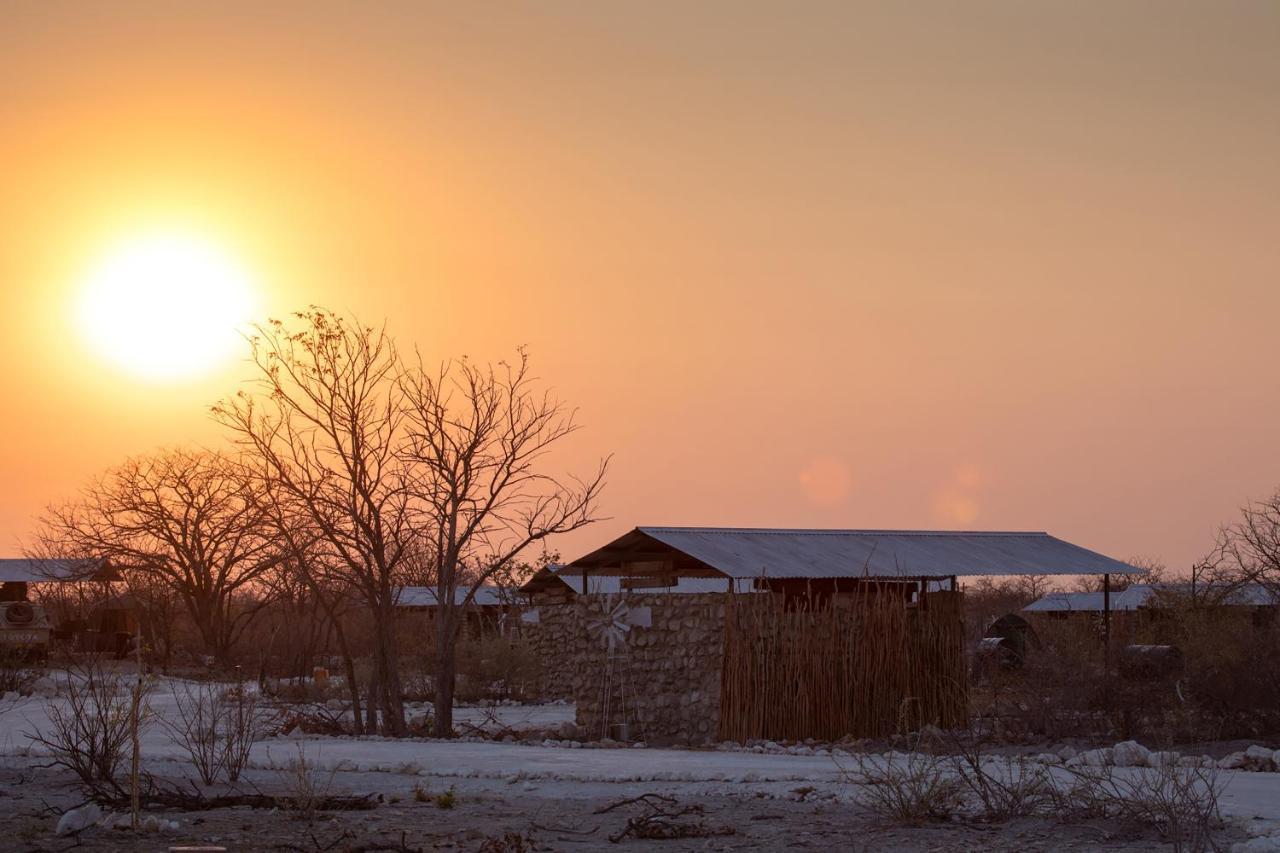 Etosha Trading Post Campsite Okaukuejo Dış mekan fotoğraf